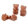 Albanese Milk Chocolate Covered Gummy Bears: 2.25LB Tub 2 Albanese Milk Chocolate Covered Gummy Bears: 2.25LB Tub -Candy Store albanese milk chocolate covered gummy bears 2 25lb tub candy warehouse 1