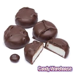 Asher's Sugar Free Chocolate Peppermint Patties - Dark: 6LB Box -Candy Store asher s sugar free chocolate peppermint patties dark 6lb box candy warehouse 3