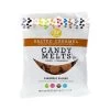 Wilton Candy Melts - Salted Caramel: 8-Ounce Bag -Candy Store candy melts salted caramel 8 ounce bag candy warehouse 1