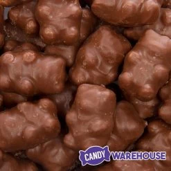 Chocolate Covered Cinnamon Bears: 3LB Bag -Candy Store chocolate covered cinnamon bears 3lb bag candy warehouse 3 09c9fde5 5480 4125 bc3e 99c47ff0568d