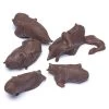 Chocolate Covered Crickets: 100-Piece Tub