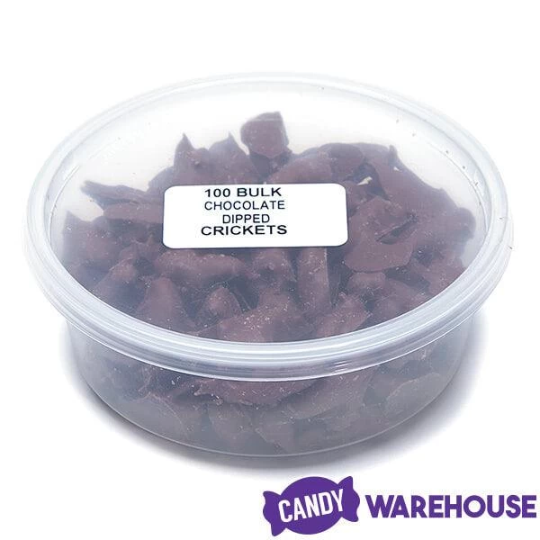 Chocolate Covered Crickets: 100-Piece Tub 4 Chocolate Covered Crickets: 100-Piece Tub - Image 2