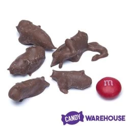 Chocolate Covered Crickets: 100-Piece Tub 9 Chocolate Covered Crickets: 100-Piece Tub -Candy Store chocolate covered crickets 100 piece tub candy warehouse 3