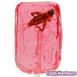Cricket Lollipops: 36-Piece Box -Candy Store cricket lollipops 36 piece box candy warehouse 4