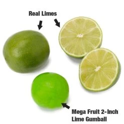 Dubble Bubble Mega Fruit 2-Inch Gumballs: 138-Piece Case 9 Dubble Bubble Mega Fruit 2-Inch Gumballs: 138-Piece Case -Candy Store dubble bubble mega fruit 2 inch gumballs 138 piece case candy warehouse 3 7e3b768f 881f 41d7 b53e 9ee6843e3179