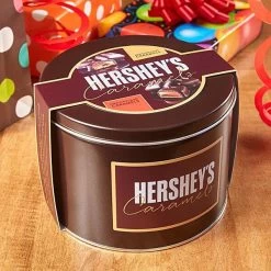 Hershey's Caramels - Milk And Dark Chocolate Caramel Candy: 2.5LB Gift Tin -Candy Store hershey s caramels milk and dark chocolate caramel candy 2 5lb gift tin candy warehouse 4