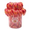 Jelly Belly Candy Canes - Very Cherry: 80-Piece Bucket -Candy Store jelly belly candy canes very cherry 80 piece bucket candy warehouse 1