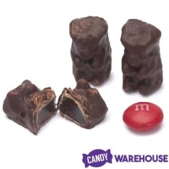 Koppers Dark Chocolate Covered Gummi Bears: 1LB Jar -Candy Store koppers dark chocolate covered gummi bears 1lb jar candy warehouse 3