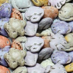 Koppers Mini Chocolate Candy Sea Shells: 5LB Bag