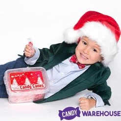 Mini Candy Canes - Red And White: 100-Piece Tub 11 Mini Candy Canes - Red And White: 100-Piece Tub -Candy Store mini candy canes red and white 100 piece tub candy warehouse 3