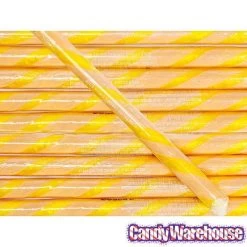 Salted Caramel Hard Candy Sticks: 100-Piece Box -Candy Store salted caramel hard candy sticks 100 piece box candy warehouse 3