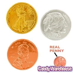 Thompson Foiled Extra Large Milk Chocolate Coins: 72-Piece Tub -Candy Store thompson foiled extra large milk chocolate coins 72 piece tub candy warehouse 4